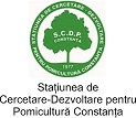 logo SCDP